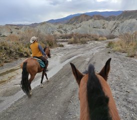 02 Day "Trails of Cinema, Tabernas Desert by Horse" Horse Riding Holiday in Almería, Spain - Photo 1