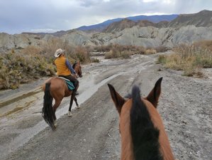 2 Day The Gaits of The Desert Horse Riding Holiday in Tabernas, Spain