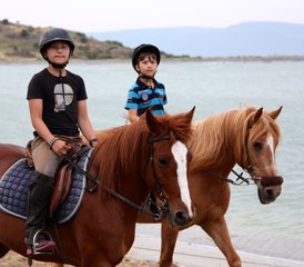 8 Daagse Authentieke Griekse Eiland Paardrijvakantie voor Beginners in Mithymna, Lesbos, Griekenland - Photo 4