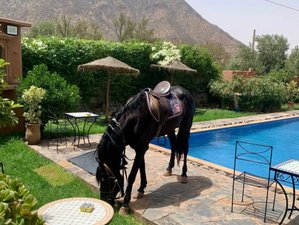 8 Day Peaks to Paradise: Atlas to Atlantic Horse Riding Holiday in Ouirgane & Essaouira, Morocco