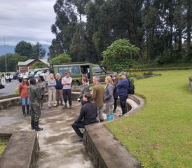 3 días de trekking de gorilas en Uganda vía Kigali, Ruanda - Photo 2