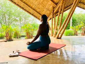 10 Day Release and Rise: An Immersive Healing Retreat in Krong Siem Reap