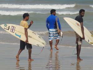 8 Days Beginner and Advanced Surf Camp in Gurubebila, Sri Lanka