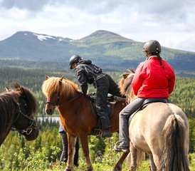  7 Jour Semaine à Cheval en Islande : Découvrez le Cœur Sauvage d’Östersund, dans le Nord de la Suède - Photo 4