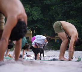 67 Day Sacred Pause: Yoga, Pranayama, and Inner Peace Retreat in Rishikesh, India - Photo 1