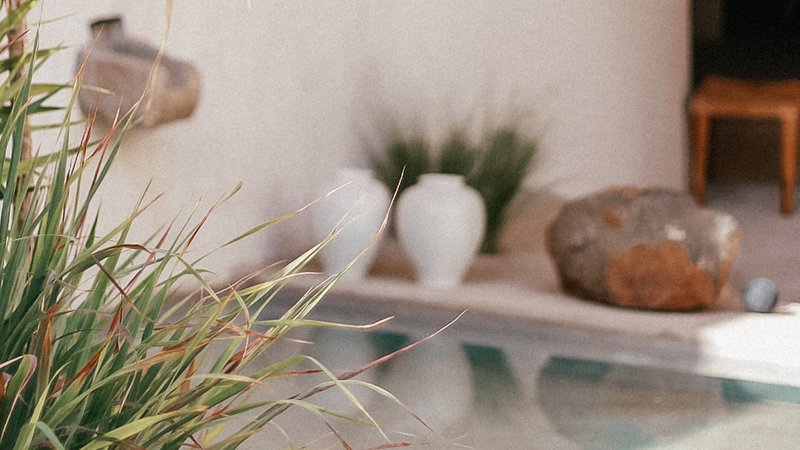 4 Day 3 Night  Wellness Yoga Retreat in Tenerife, Spain