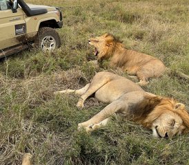 3 jours en stage d’aventure safari en groupe dans le parc national du Serengeti et le cratère du Ngorongoro, Tanzanie - Photo 5