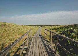 Sylt Retreats & Trips