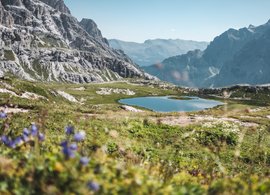 Alps Retreats & Trips
