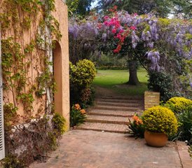 7-Daagse Release Your Inner Artist Yoga Vakantie in Knysna, West-Kaap, Zuid-Afrika - Photo 2