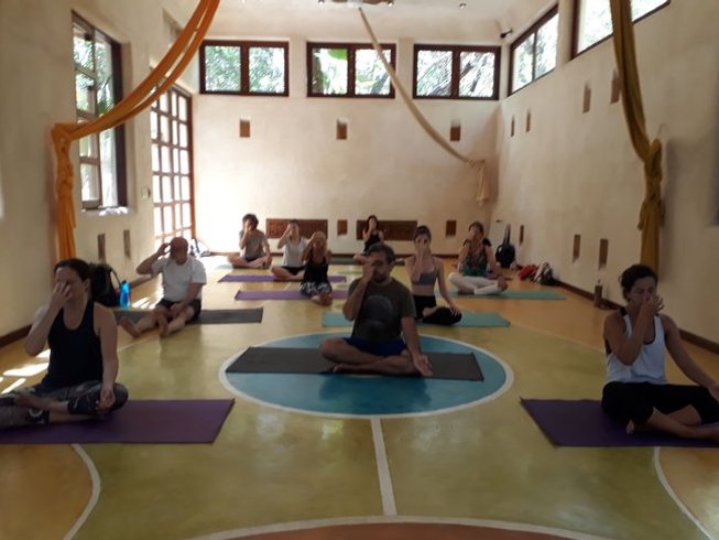 4 Day Vedic Breathwork and Yoga Retreat in Dharamkot - BookYogaRetreats.com