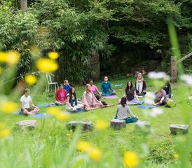 36 días de retiro de los 5 elementos con yoga, sonido y música en la naturaleza de Selva Negra - Photo 1
