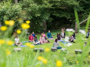6 Tage 5 Elements Retreat mit Yoga, Klang und Musik im Wunderschönen Schwarzwald, Deutschland