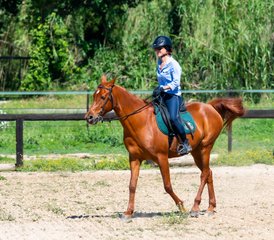 7 jours expérience équestre méditerranéenne guidée à Siurana d’Empordà, Espagne - Photo 4