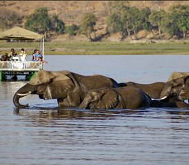 4-Daagse Victoria Falls en Chobe Explorer Safari in Zimbabwe en Botswana - Photo 2