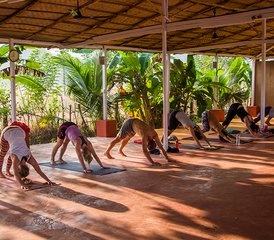 24 días en profesorado de yoga multiestilo de 200 horas que incluye SUP en Canacona, Goa, India - Photo 5