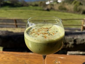 8 Day Holistic Wellness and Detox Retreat in Azores, Portugal