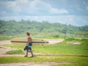 11 Day Surf Lessons Package in Tamarindo, Guanacaste
