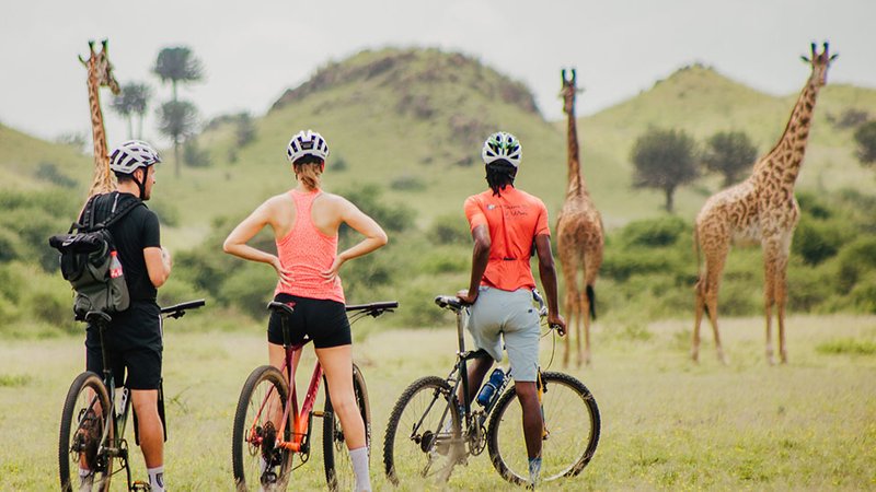 5 Day West Kilimanjaro Cycling Tour in Tanzania