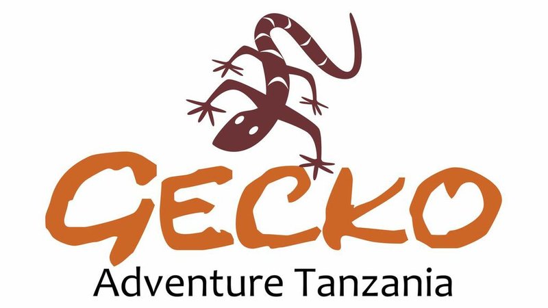 3 Days Mikumi National Park Safari in Tanzania