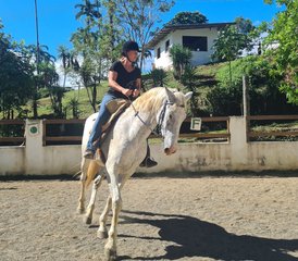 21-Daagse Natural Horsemanship en Klassieke Rijkunst in Tucurrique, Cartago, Costa Rica - Photo 4