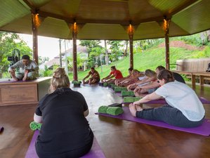 4 Tage Vigor Reinigungsprogramm und Yoga Urlaub im Mangosteen Resort in Rawai, Phuket