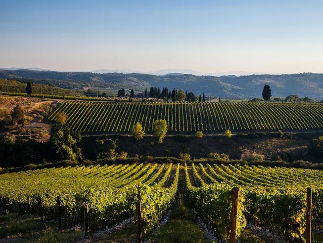 6 Day Self-Guided Vespa Motorcycle Holiday in Piedmont, Italy photo 6