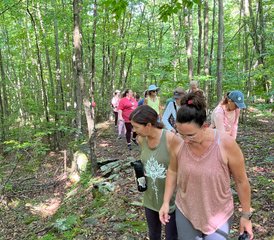 3 jours en stage de Tai Chi Easy : plongez dans la vitalité en retraite dans les montagnes Pocono, États-Unis - Photo 5