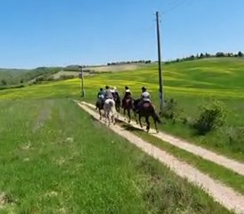 7 jours histoire, vin et équitation à Sienne, Toscane, Italie - Photo 3