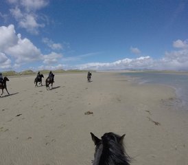 6 Day Clew Bay Trail Horse Riding Holiday Along Ireland’s Wild Atlantic Way - Photo 4
