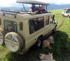 6-Daagse Groepssafari Kamperen in Tarangire, Serengeti en Ngorongoro, Tanzania - Photo 5