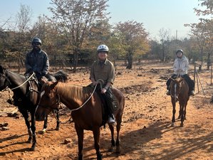 2 Tage Privater Reiturlaub auf dem Land nahe den Victoriafällen, Simbabwe
