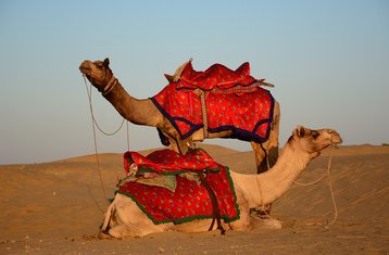 8 días de ruta guiada en moto por el Festival del Desierto de Rajasthan