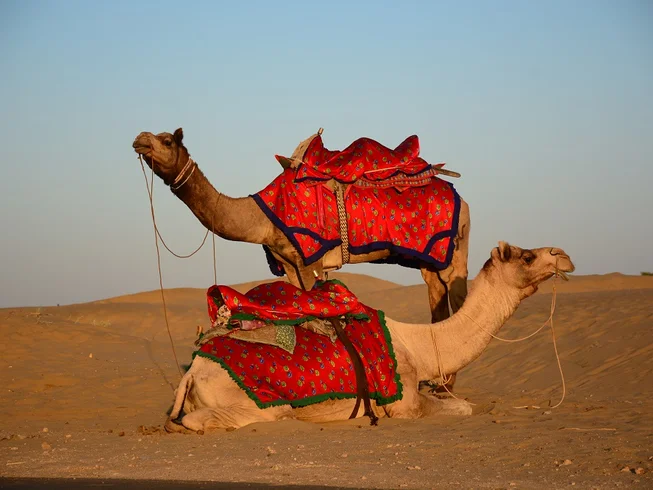 8 Days Rajasthan Desert Festival Guided Motorcycle Tour 