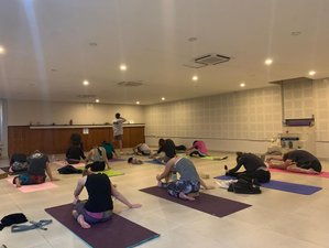 24 Day 200-Hour Multi-Style Yoga Teacher Training in Pokhara, Nepal