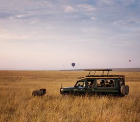 63 días de safari privado de lujo por Masái Mara: safaris exclusivos en Kenia - Photo 1