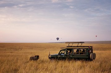 3 Day Private Masai Mara Luxury Safari: Exclusive Game Drives in Kenya