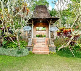 6 Day Jungle Harmony: Yoga Retreat in Ubud Bali, Indonesia - Photo 5