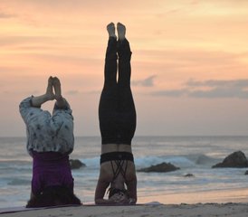 313 jours en stage de formation de professeur de yoga 100h à Kerala, Inde - Photo 1