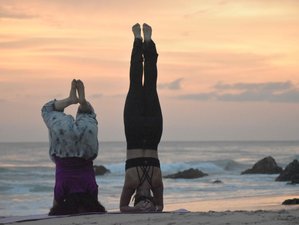 13 jours en stage de formation de professeur de yoga 100h à Kerala, Inde