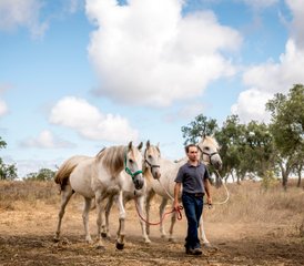 4 Day Intermediate Trail Horse Riding Holiday in Alentejo, Portugal - Photo 5