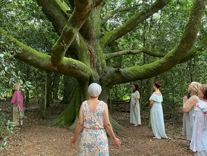 3 jours en week-end de yoga, nature, plantes, arbres et chamanisme en Brocéliande