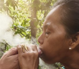 7 jours en stage de yoga, méditation et ayahuasca dans la forêt amazonienne du Pérou - Photo 4
