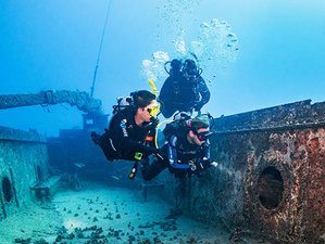7 Day Beginner Diving: PADI Open Water Course in North East Trincomalee, Eastern Province