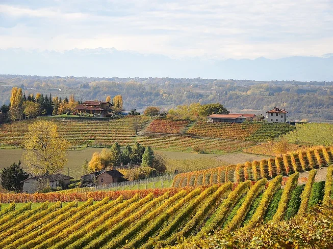 4 Day Guided Weekend Break Motorcycle Tour in Piedmont, Italy photo 6