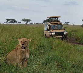 2-Daagse Big Five Safari naar Tarangire National Park en Ngorongorokrater - Photo 2