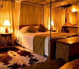 7 Day Masai Mara, Lake Nakuru, and Amboseli Camping Safari in Kenya - Photo 4
