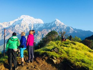 7 Day Ghorepani Poon Hill Trekking Tour with Yoga in The Himalayas of Nepal