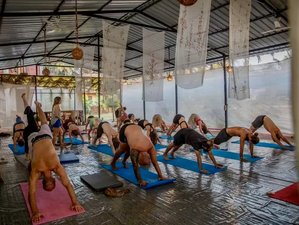 5 jours en retraite de yoga à Goa, Inde