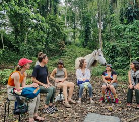11-Tage Harmonie mit Pferden: Equine Yoga und Ausgerichtetes Horsemanship Retreat in Limón, Costa Rica - Photo 4